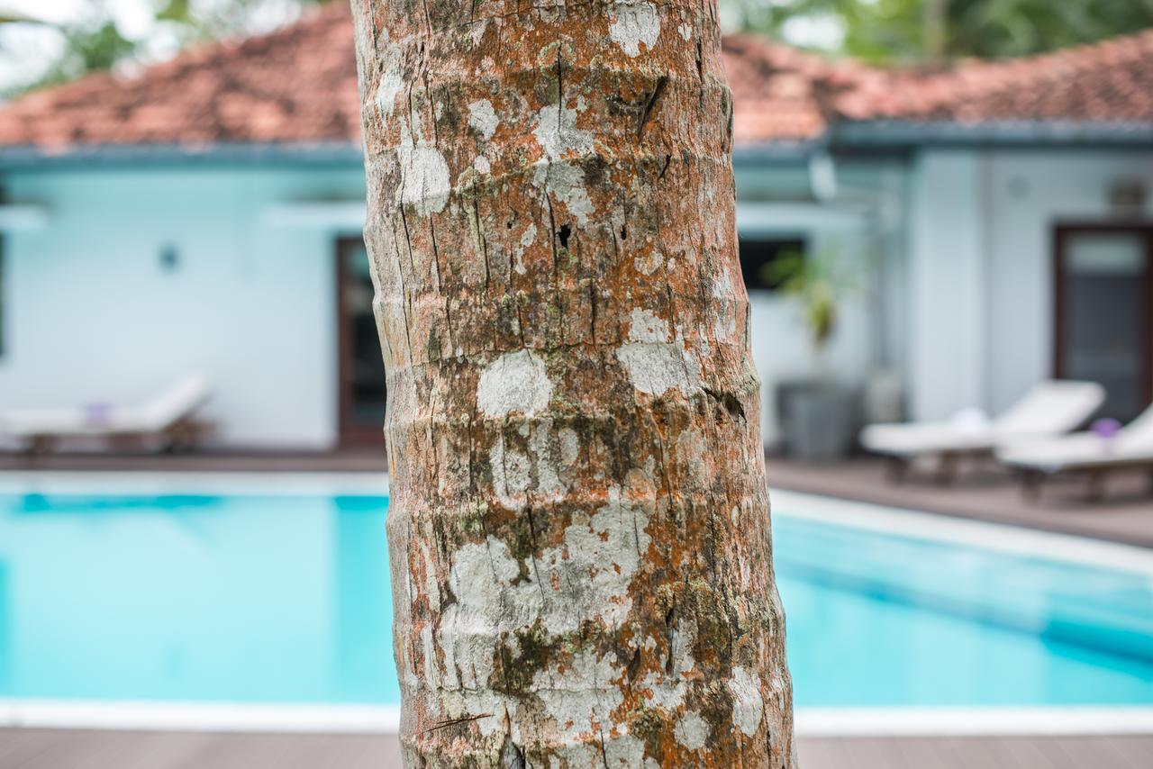 Cattleya Villa Hikkaduwa Exterior foto