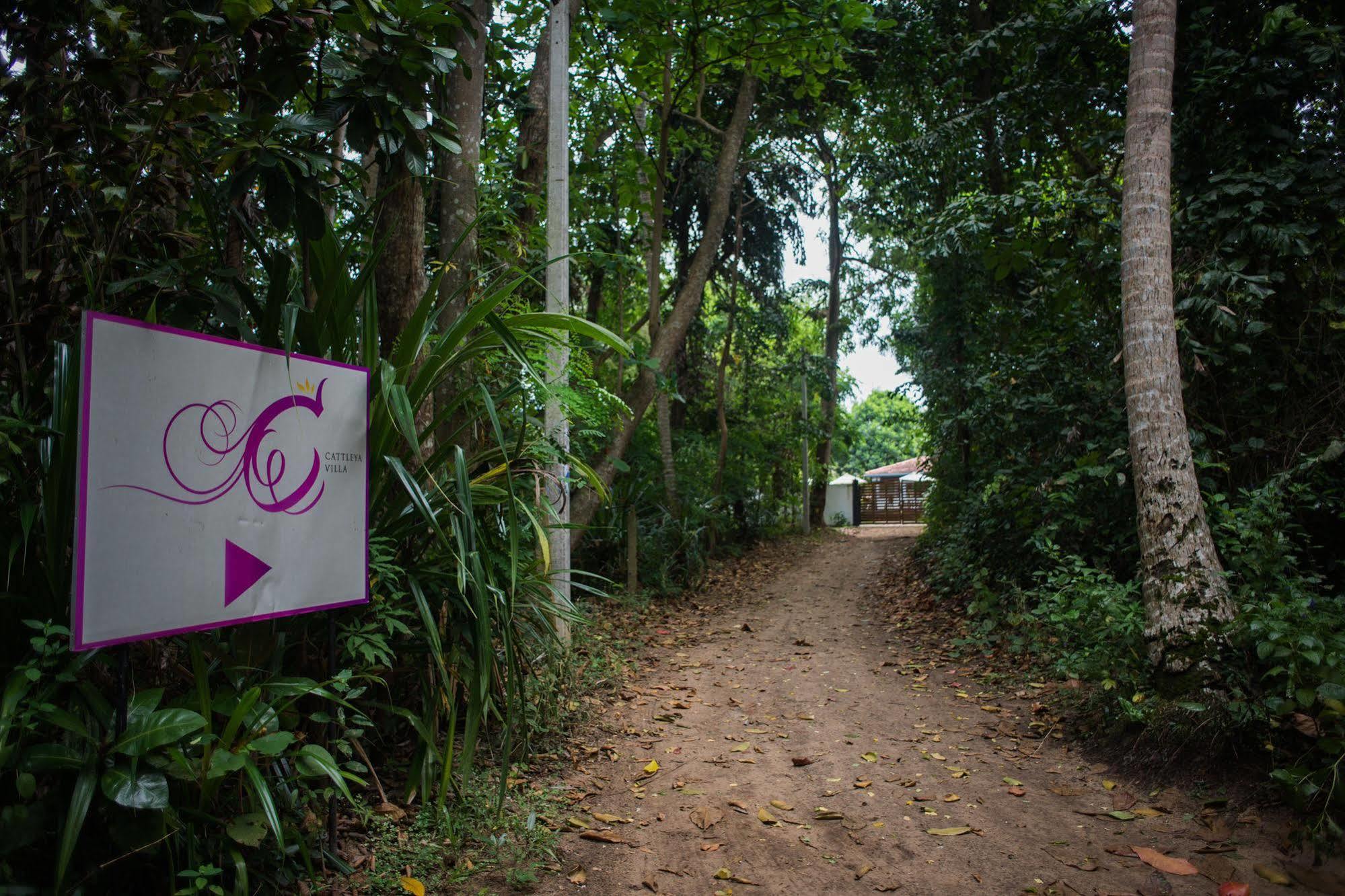 Cattleya Villa Hikkaduwa Exterior foto