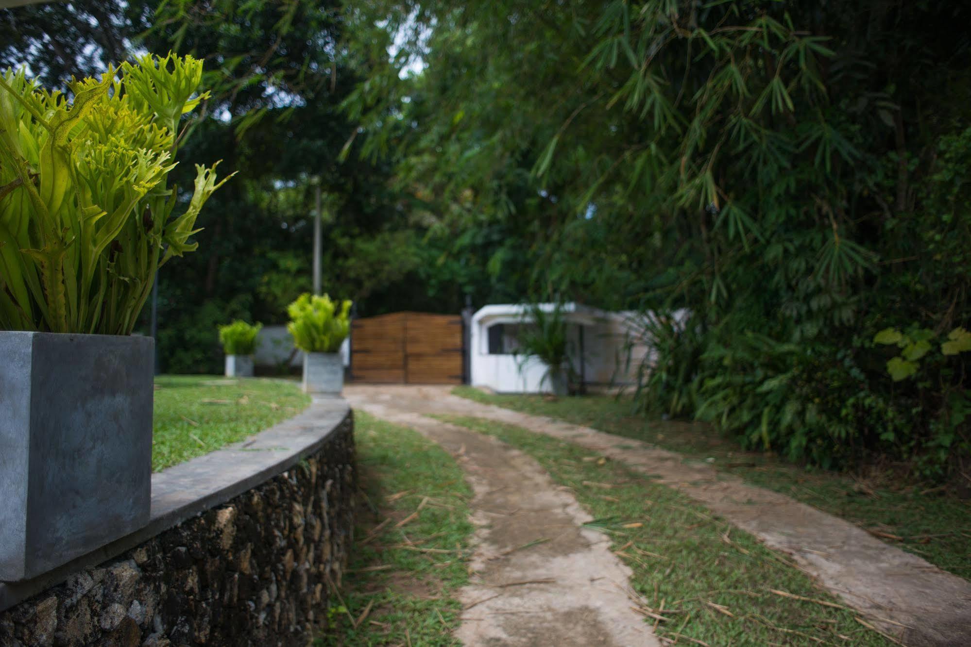 Cattleya Villa Hikkaduwa Exterior foto